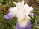 P1260420