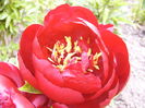 P1260423