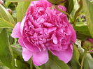 P1260430