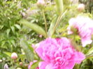 P1260431