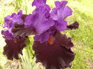 P1260466