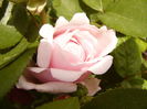 P1260479