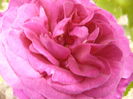 P1260482