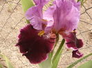 P1260503
