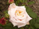 P1260507