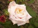 P1260508