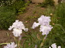 P1260536