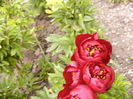 P1260556