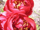 P1260557
