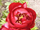 P1260559