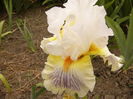 Iris Expose
