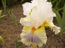 P1260570