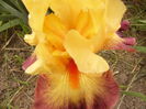 P1260589
