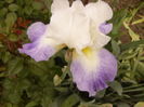 P1260597