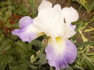 P1260598