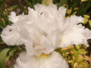P1260602
