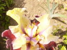 P1260647
