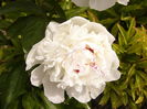 P1260654