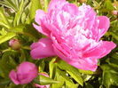 P1260661