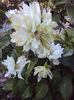 DSC00048