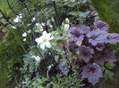 DSC00065