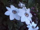 DSC00067