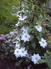 DSC00072
