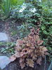 DSC00074