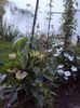 DSC00080