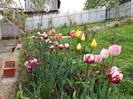 20160503_152003