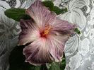 20160513_080105