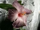 20160513_080126