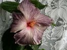 20160513_080143