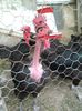 IMG_20160417_185321