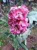 20160509_152602