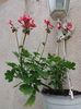 20160509_151510