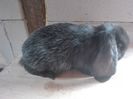 IMG_20160513_140337