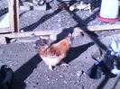 IMG-20160512-WA0036