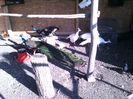 IMG-20160512-WA0015