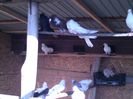 IMG-20160512-WA0028