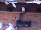 IMG-20160512-WA0034