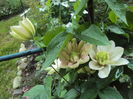 DSC00238