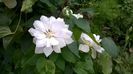 WP_20160512_019
