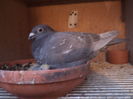 DSC04204