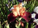 20160513_191806