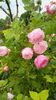 IMG_20160514_080437