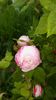 IMG_20160514_080417
