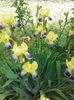 20160514_112134