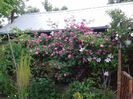 20160514_145826