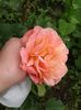 20160514_145916